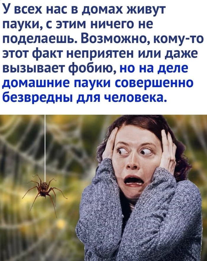 Середина недели? Пора зарядиться позитивом!