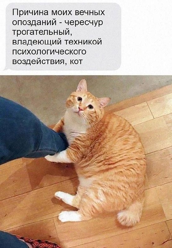 Мем