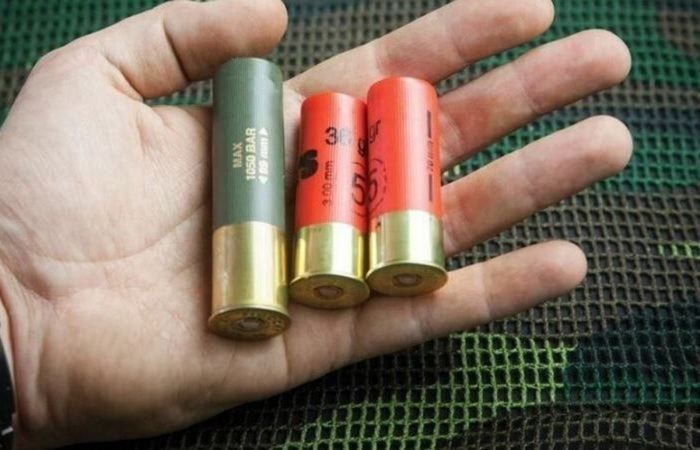 Почему именно 12-й калибр стал самым популярным