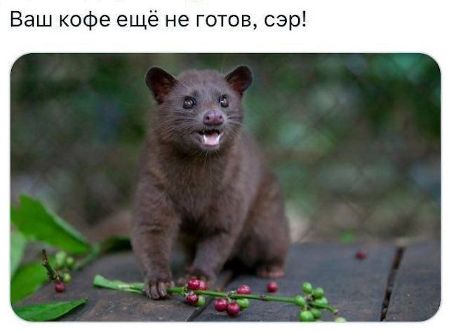 Мем