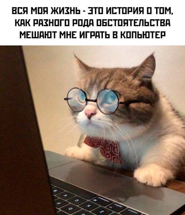 Веселые картинки