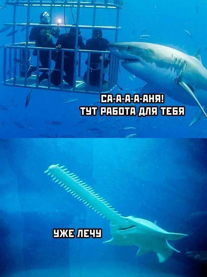 Мем