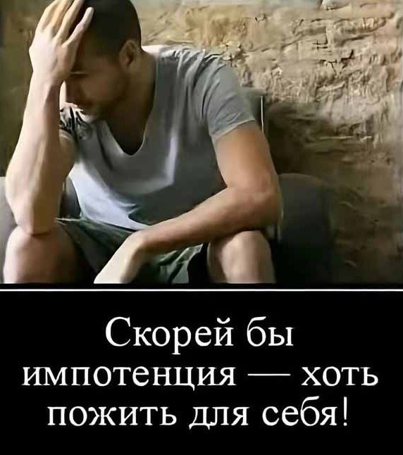 Веселые картинки