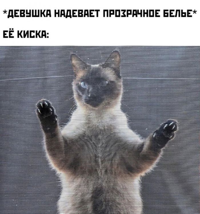 Поднимите себе настроение по-взрослому!