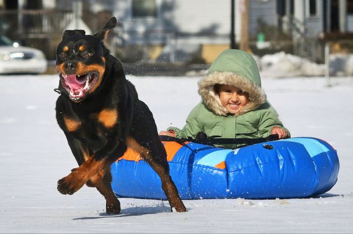 Прикол