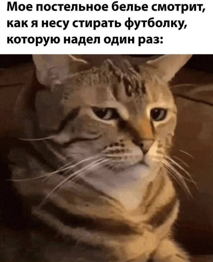 Прикол