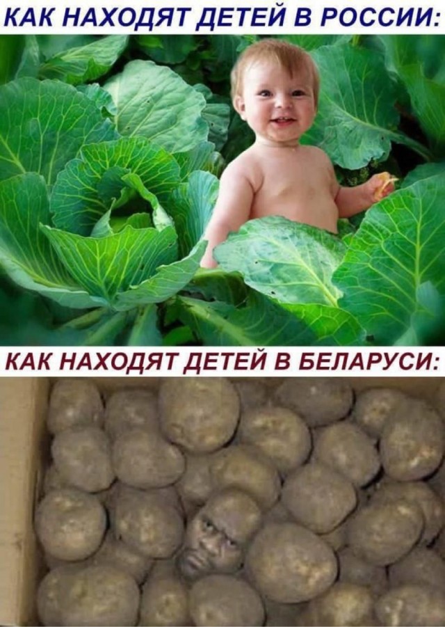 Веселые картинки