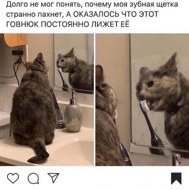 Веселые картинки