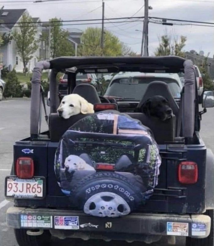 Мемы