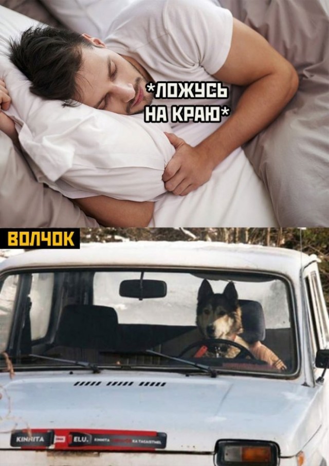 Веселые картинки