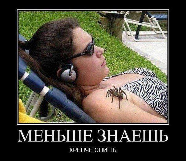 Лучшие демотиваторы дня — свежая подборка #1