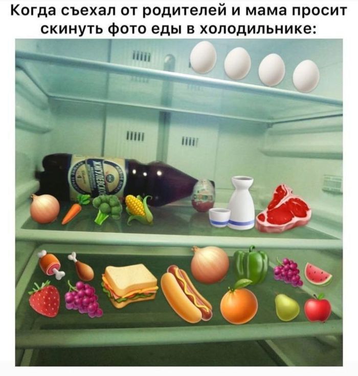 Готовы к порции убойного юмора на выходные? 🤪