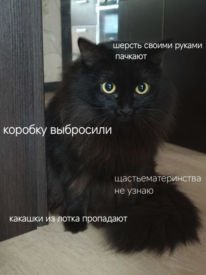 Утро начинается с улыбки! ☀️
