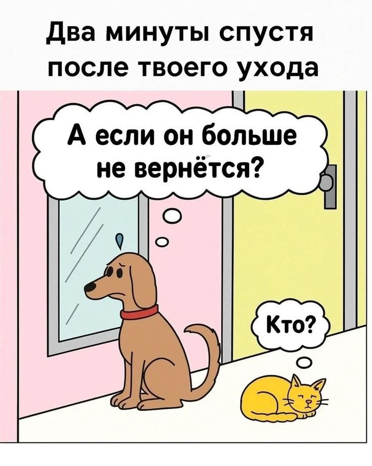 Об отношении кошек и собак к хозяину