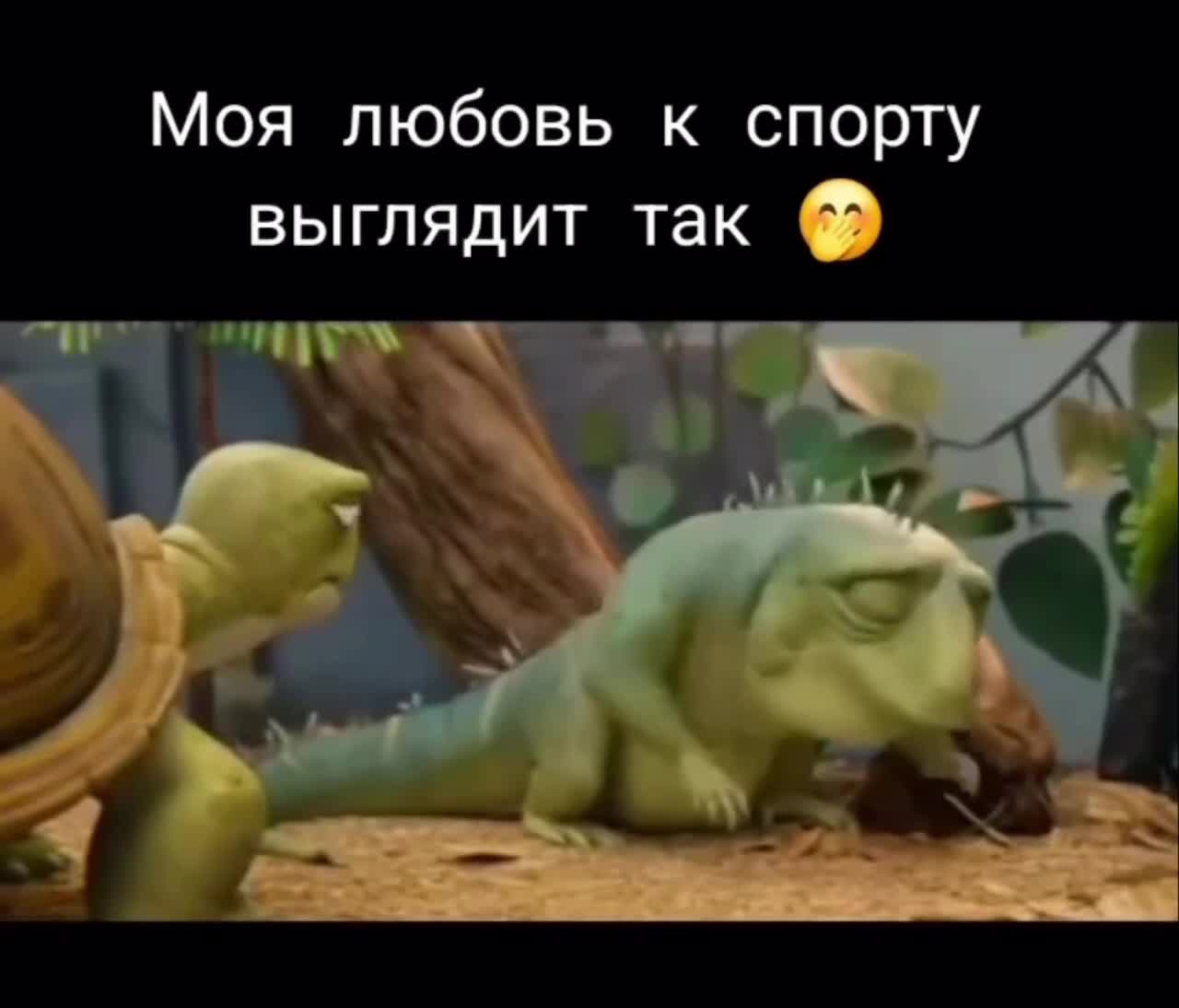 Коротко о моей любви к спорту