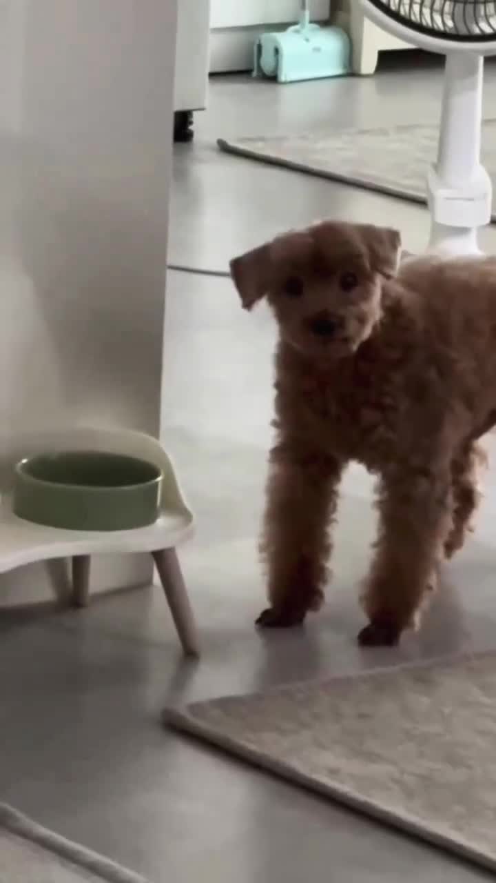 Сюда глянь, дно видно