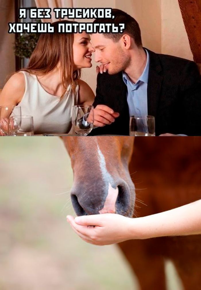 Свежие шутки, мемы и картинки – для вашего отличного настроения