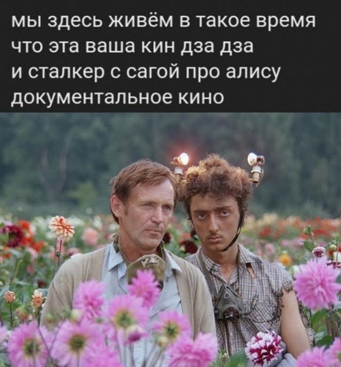 Приколы