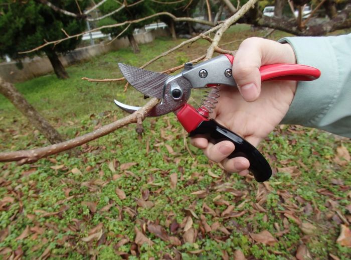 Мужчина на спор отрезал другу мизинец секатором