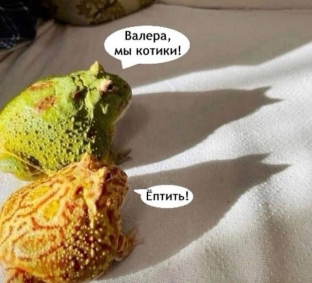 Юмор