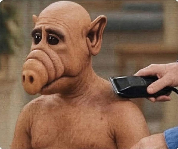 Смешные фото приколы и мемы с надписями