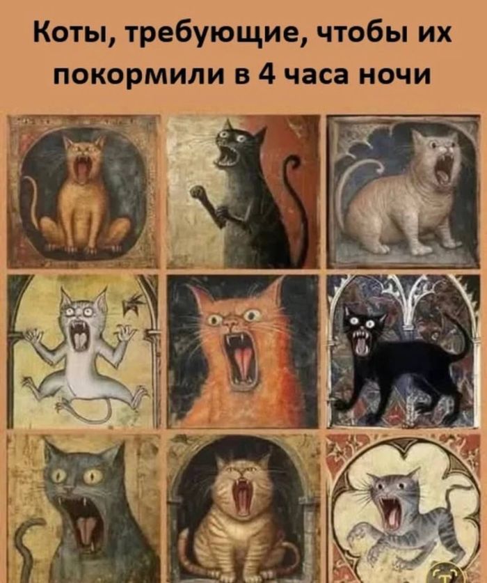 Пятница! Время для смеха и отличного настроения! 🥳