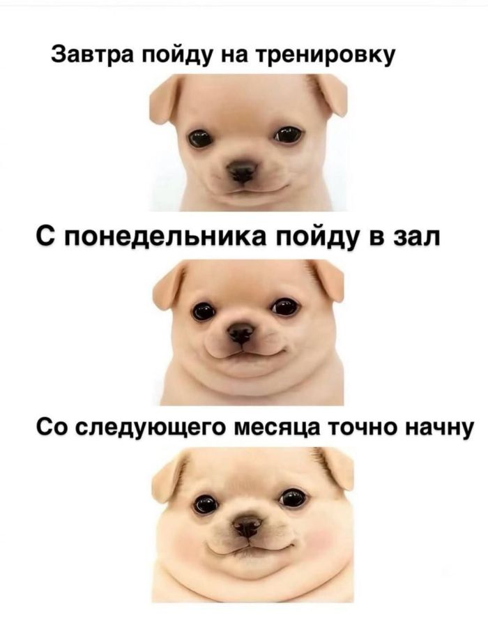 Новая до слез смешная подборка картинок с надписями