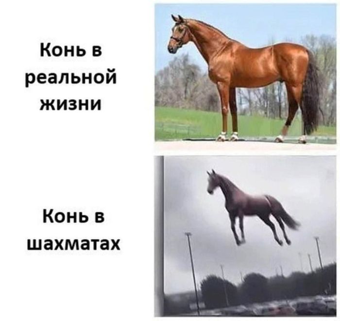 Приколы