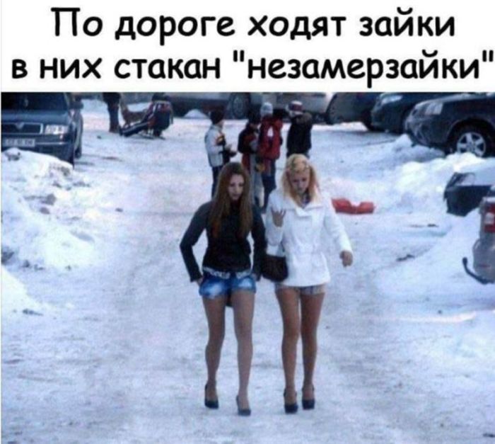 Приколы