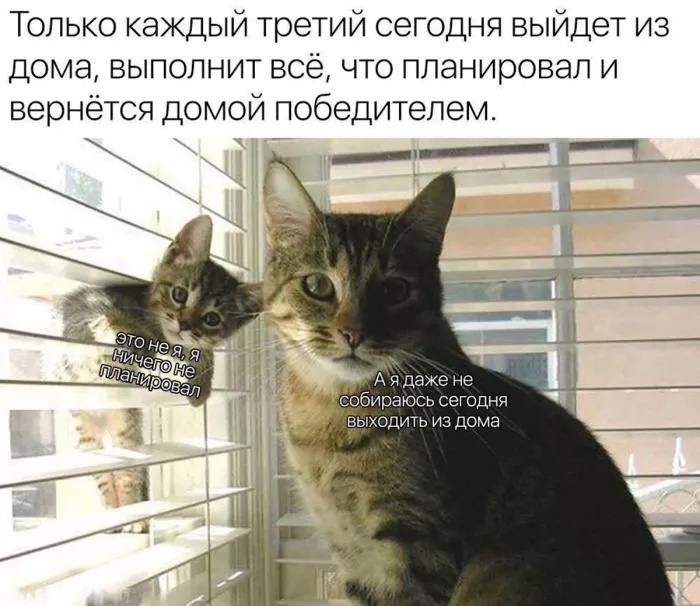 Самые смешные картинки с прикольными надписями